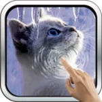 interactive kitten android application logo